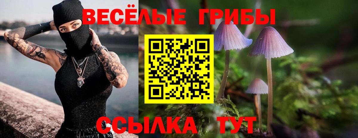 где найти наркотики  Вход с VPN  Галлюциногенные грибы Psilocybe  Гусев  Галлюциногенные грибы Magic Shrooms 
